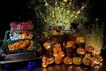 横浜イングリッシュガーデンに投稿された画像（2025/10/25）