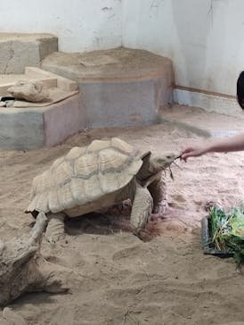 NIFREL（ニフレル）に投稿された画像（2025/10/25）