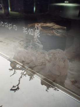 NIFREL（ニフレル）に投稿された画像（2025/10/25）