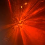 京都府立植物園　LIGHT CYCLES KYOTOに投稿された画像（2025/10/25）