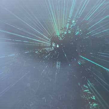 京都府立植物園　LIGHT CYCLES KYOTOに投稿された画像（2025/10/25）