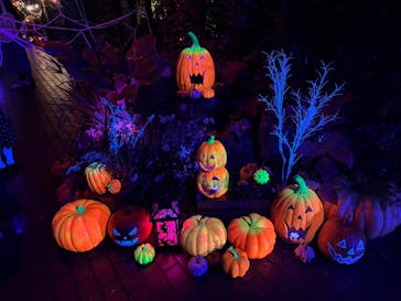 横浜イングリッシュガーデンに投稿された画像（2025/10/25）