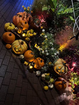 横浜イングリッシュガーデンに投稿された画像（2025/10/25）