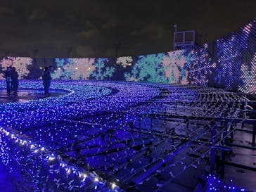 東京メガイルミに投稿された画像（2025/10/25）