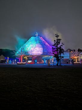 東京メガイルミに投稿された画像（2025/10/25）