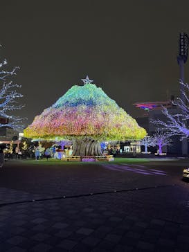 東京メガイルミに投稿された画像（2025/10/25）