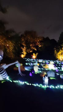 横浜イングリッシュガーデンに投稿された画像（2025/10/25）