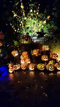 横浜イングリッシュガーデンに投稿された画像（2025/10/25）