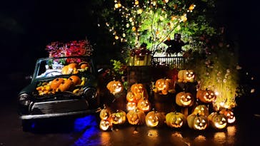 横浜イングリッシュガーデンに投稿された画像（2025/10/25）