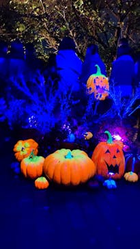 横浜イングリッシュガーデンに投稿された画像（2025/10/25）