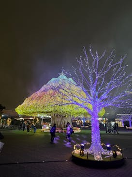 東京メガイルミに投稿された画像（2025/10/25）