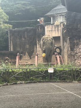 多摩動物公園に投稿された画像（2025/10/25）