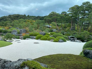 足立美術館に投稿された画像（2025/10/25）