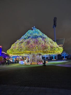 東京メガイルミに投稿された画像（2025/10/25）