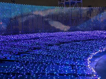 東京メガイルミに投稿された画像（2025/10/25）