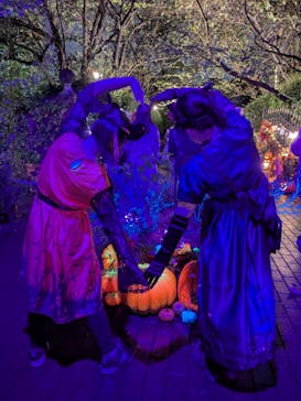 横浜イングリッシュガーデンに投稿された画像（2025/10/25）