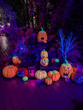 横浜イングリッシュガーデンに投稿された画像（2025/10/25）