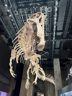 福井県立恐竜博物館に投稿された画像（2025/10/25）