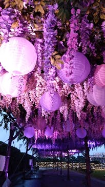 東京メガイルミに投稿された画像（2025/10/25）