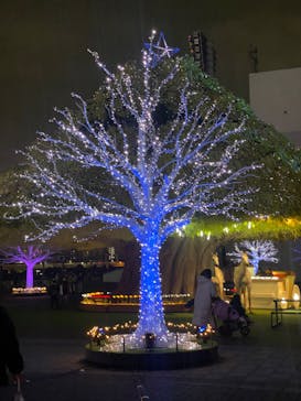 東京メガイルミに投稿された画像（2025/10/25）