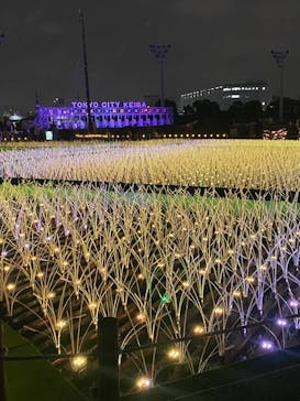 東京メガイルミに投稿された画像（2025/10/25）