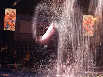 マクセル アクアパーク品川に投稿された画像（2025/10/25）