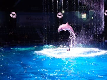 マクセル アクアパーク品川に投稿された画像（2025/10/25）