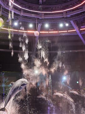 マクセル アクアパーク品川に投稿された画像（2025/10/25）