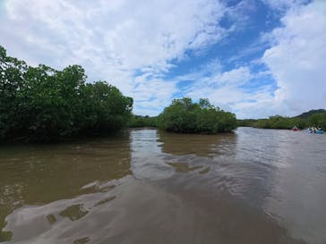 西表島 ADVENTURE PiPi（アドベンチャーピピ）に投稿された画像（2025/10/25）