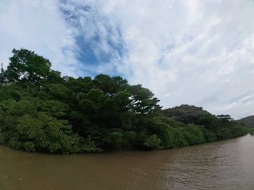 西表島 ADVENTURE PiPi（アドベンチャーピピ）に投稿された画像（2025/10/25）