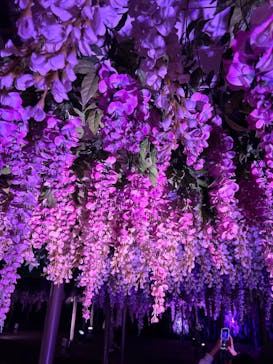 東京メガイルミに投稿された画像（2025/10/25）