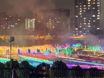 東京メガイルミに投稿された画像（2025/10/25）