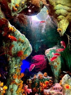 サンシャイン水族館に投稿された画像（2025/10/25）