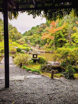 宗教法人退蔵院に投稿された画像（2025/10/25）