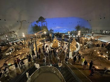 福井県立恐竜博物館に投稿された画像（2025/10/25）