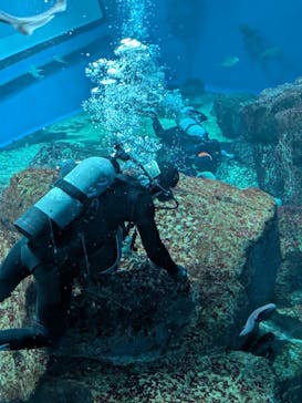 アクアワールド茨城県大洗水族館に投稿された画像（2025/10/25）