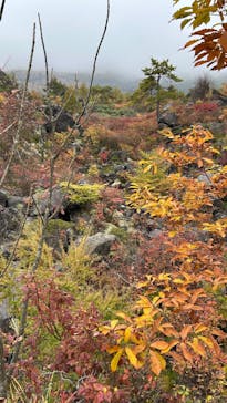 鬼押出し園に投稿された画像（2025/10/25）