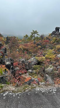 鬼押出し園に投稿された画像（2025/10/25）