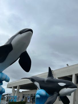 鴨川シーワールドに投稿された画像（2025/10/25）