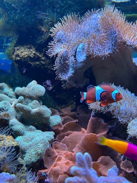 鴨川シーワールドに投稿された画像（2025/10/25）