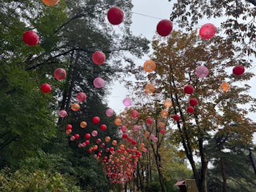 ムーミンバレーパークに投稿された画像（2025/10/25）