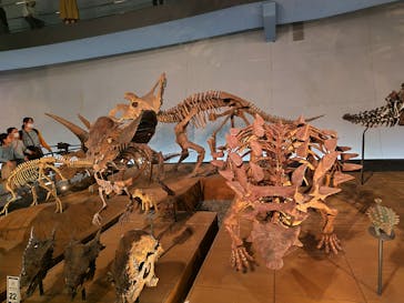 福井県立恐竜博物館に投稿された画像（2025/10/25）