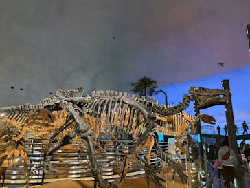 福井県立恐竜博物館に投稿された画像（2025/10/25）