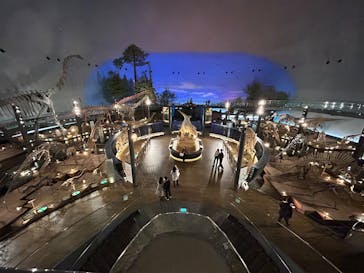 福井県立恐竜博物館に投稿された画像（2025/10/25）