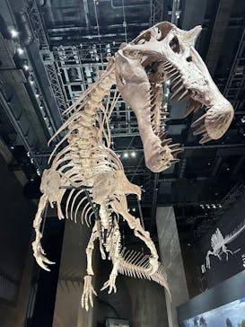 福井県立恐竜博物館に投稿された画像（2025/10/25）