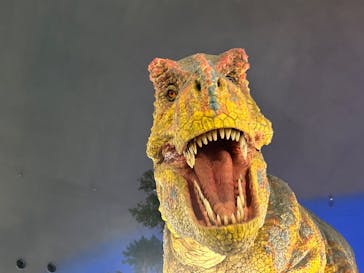 福井県立恐竜博物館に投稿された画像（2025/10/25）