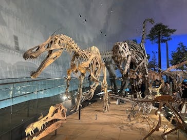 福井県立恐竜博物館に投稿された画像（2025/10/25）