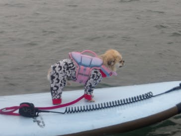 Pono Outdoor Sport Laboに投稿された画像（2025/10/25）