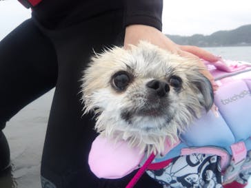 Pono Outdoor Sport Laboに投稿された画像（2025/10/25）