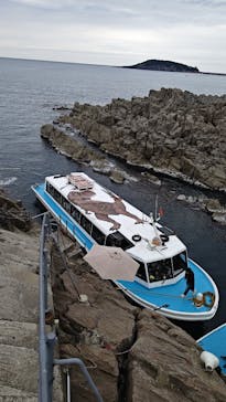 東尋坊観光遊覧船株式会社に投稿された画像（2025/10/25）